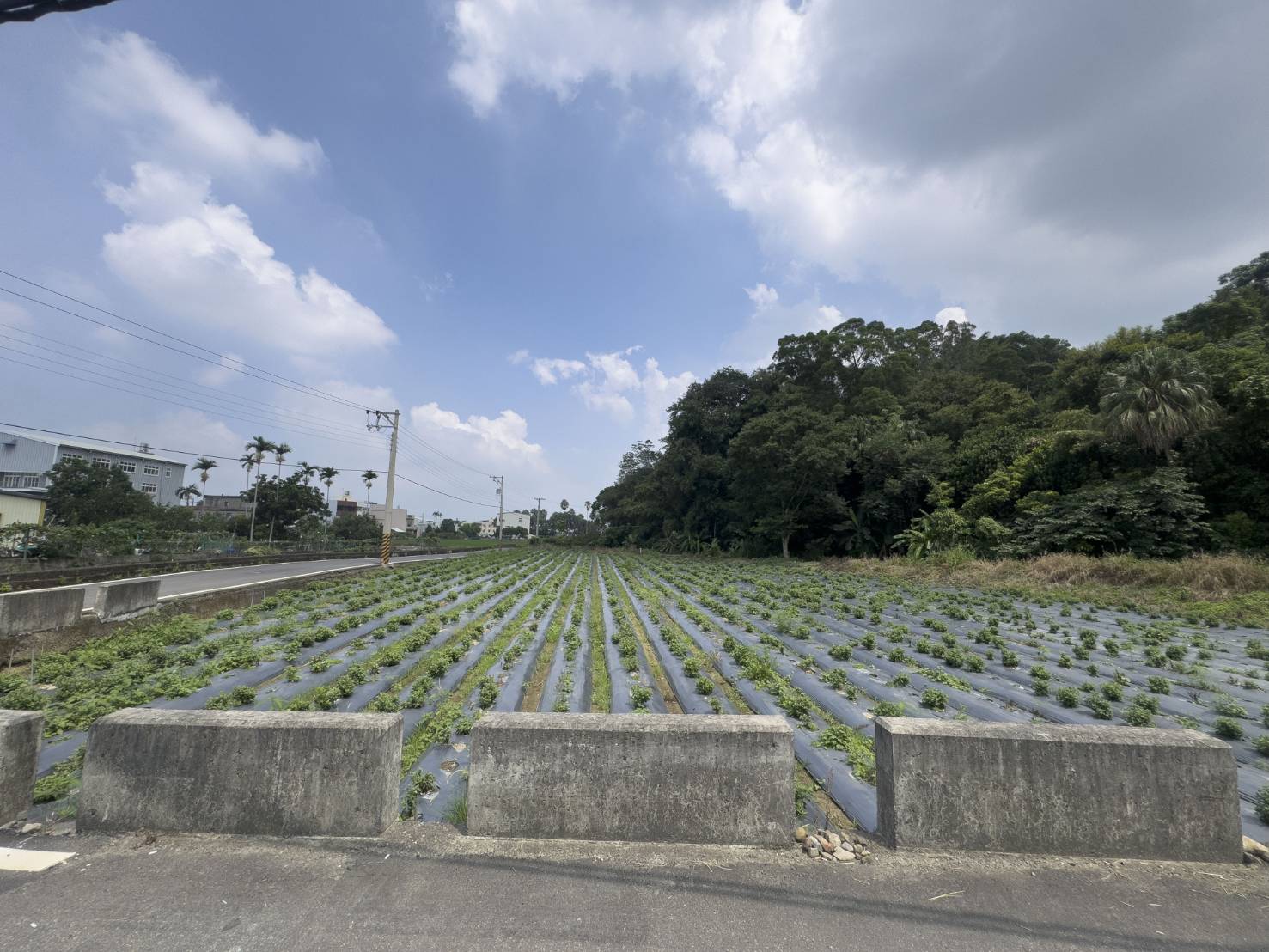 苗栗公館【館忠路】雙面臨路美農地532坪