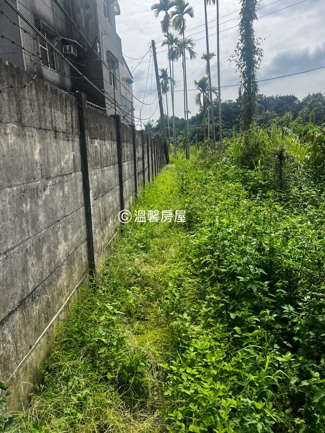 中埔深坑段｜千坪大農地