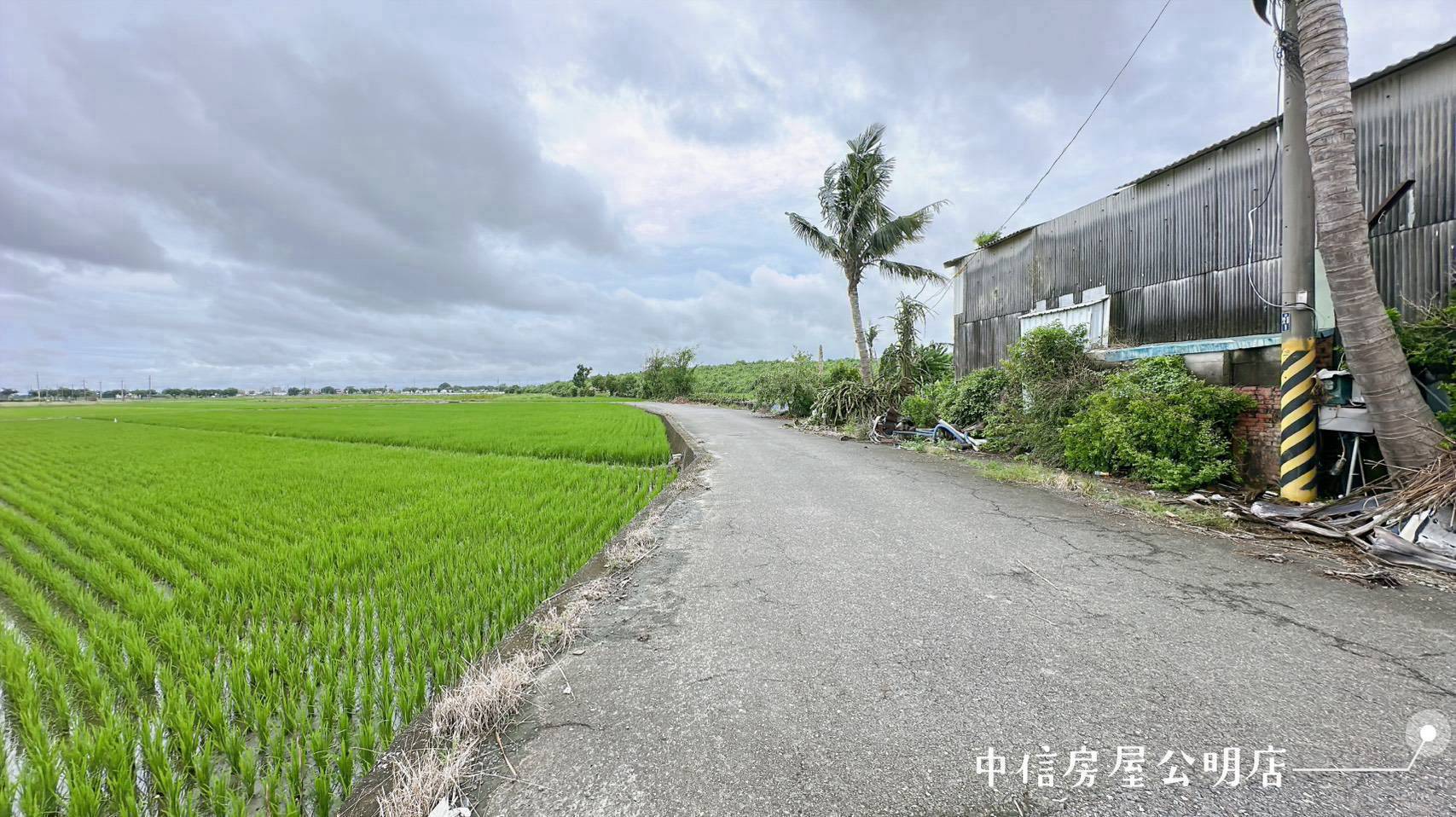 後壁近永安國小雙面路邊美農地