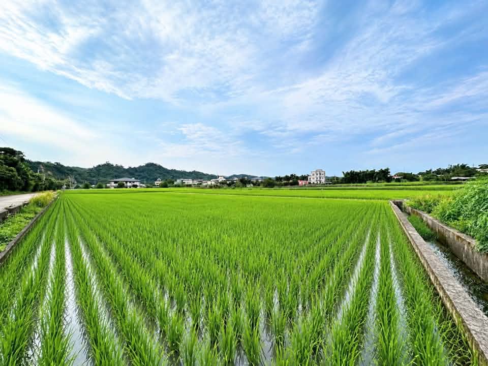 ★極少數一般農業區出售🌿