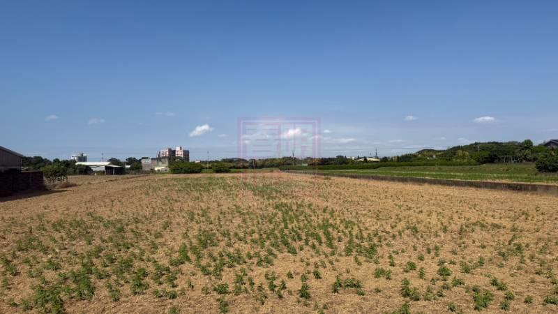 新竹縣湖口鄉三分鐘到成功路農地 春明地產