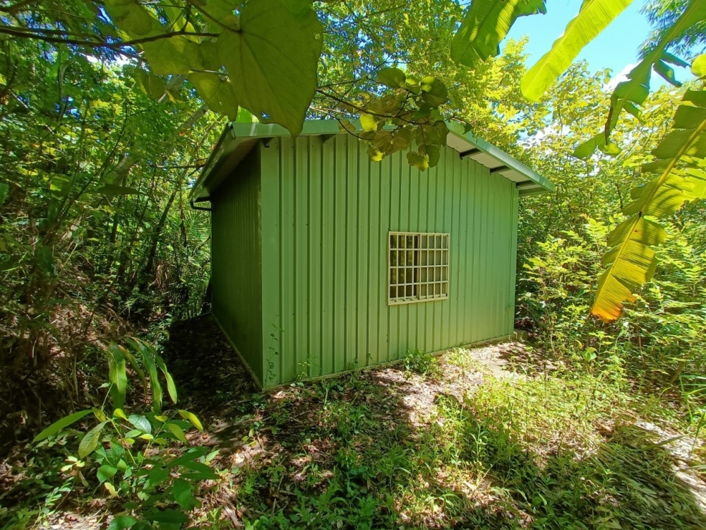 專任太平區頭汴坑段面北田路中坑巷買地送屋有水台中買屋賣房,土地王劉志忠台中北屯捷運,捷運總站