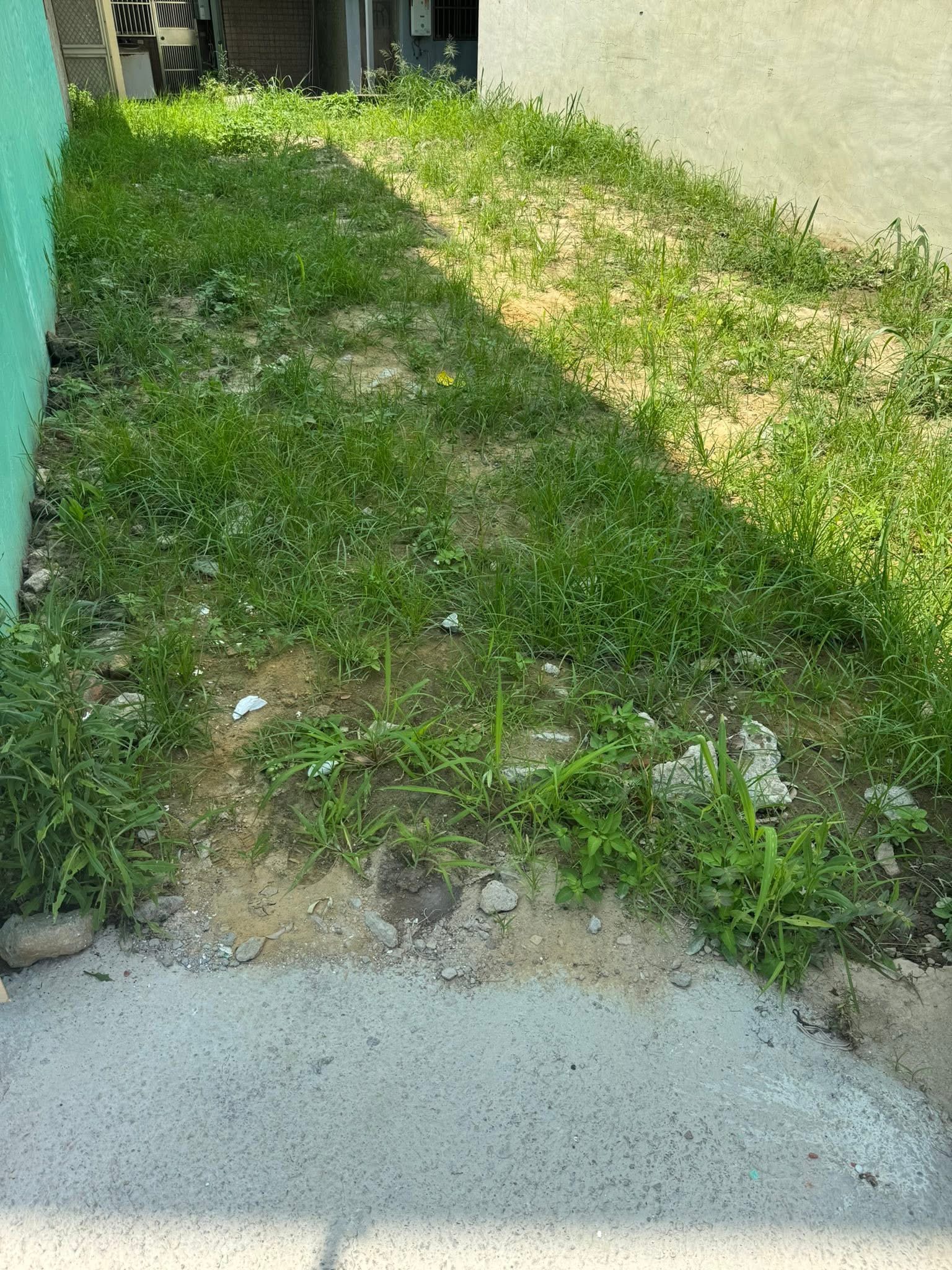 🔶竹南車站伊戶建地【NO.496】