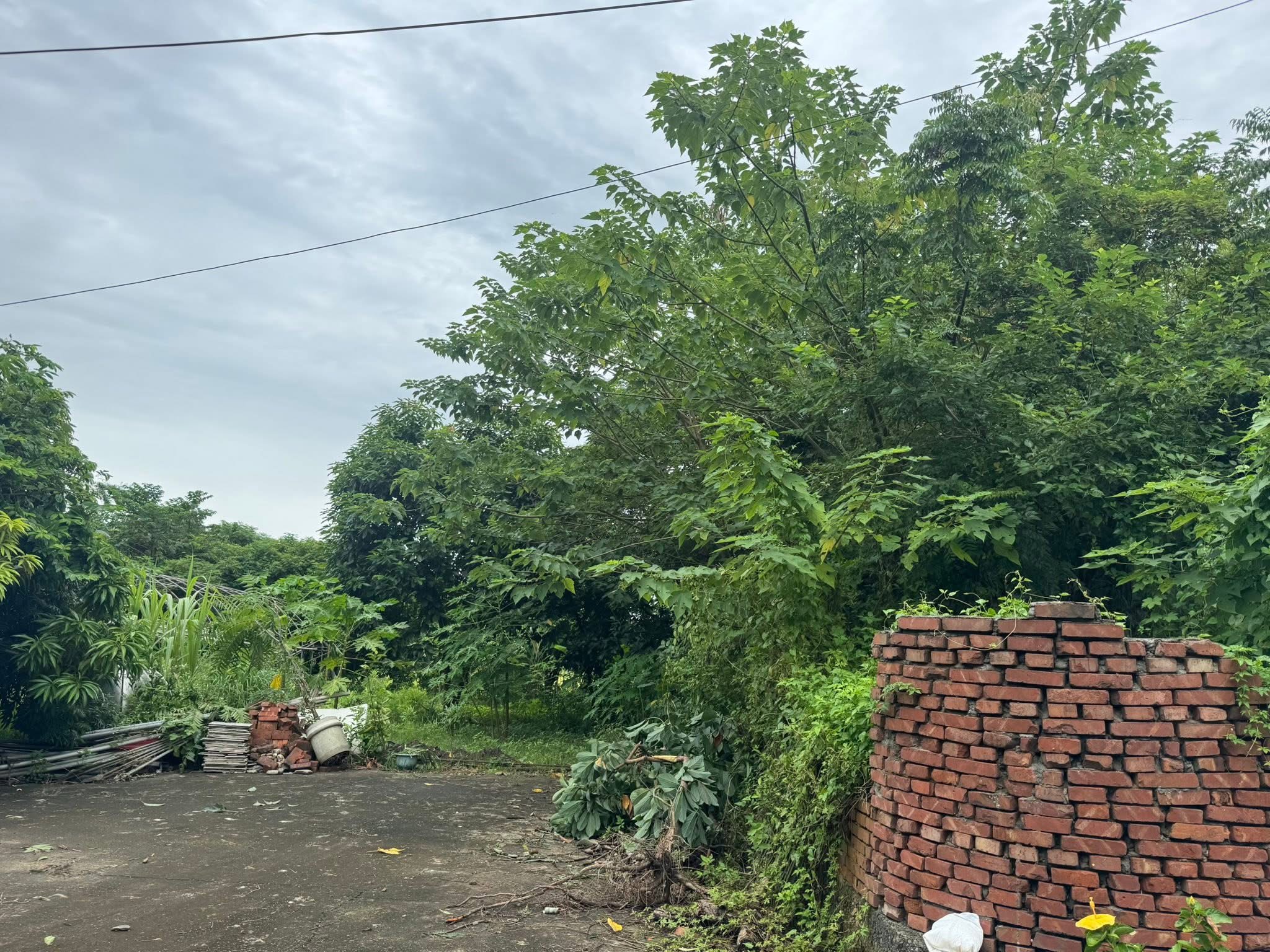 🏡 香山交流道旁 甲種建築用地 編號（503）