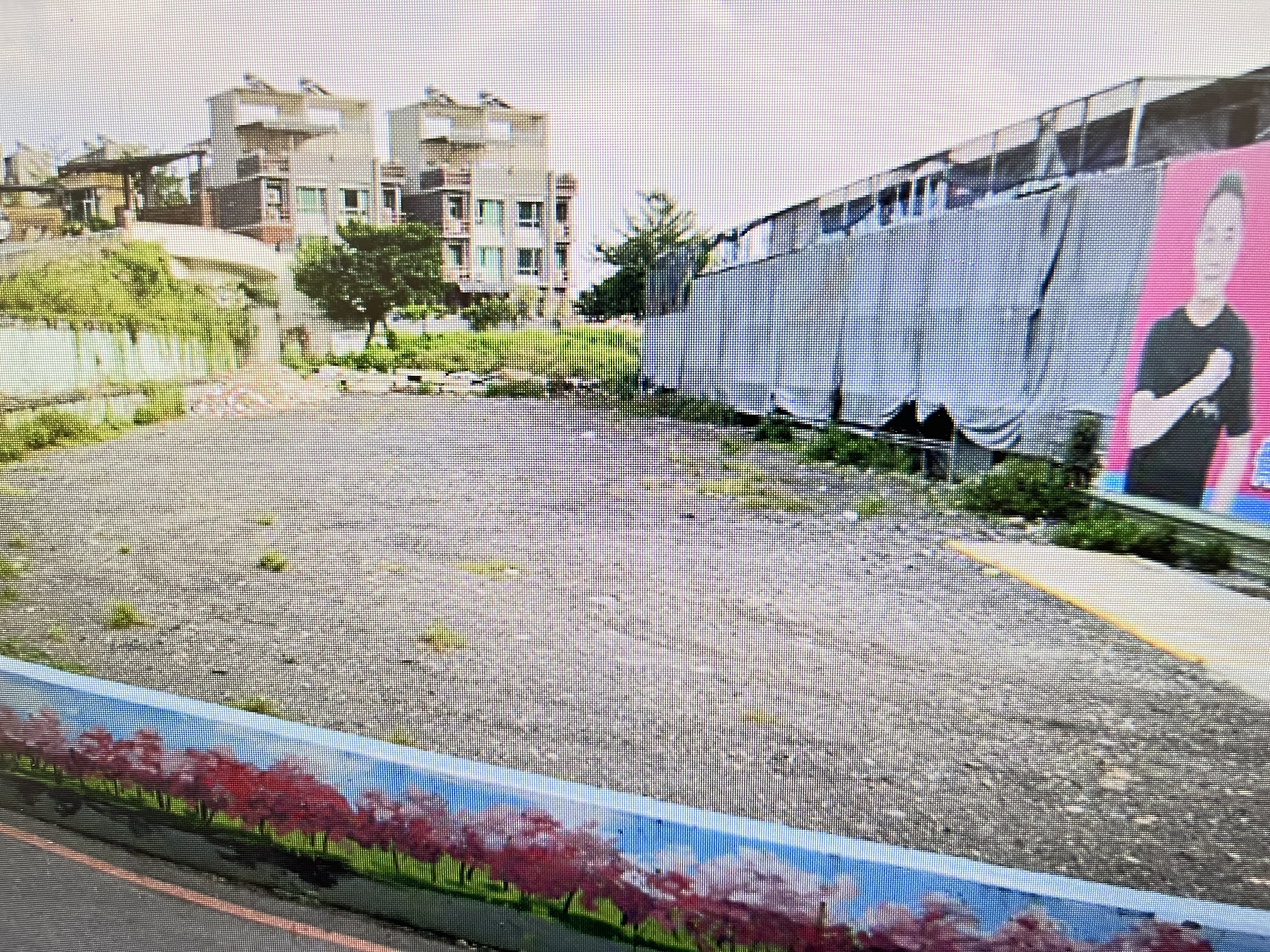 新北市樹林大同山建地381