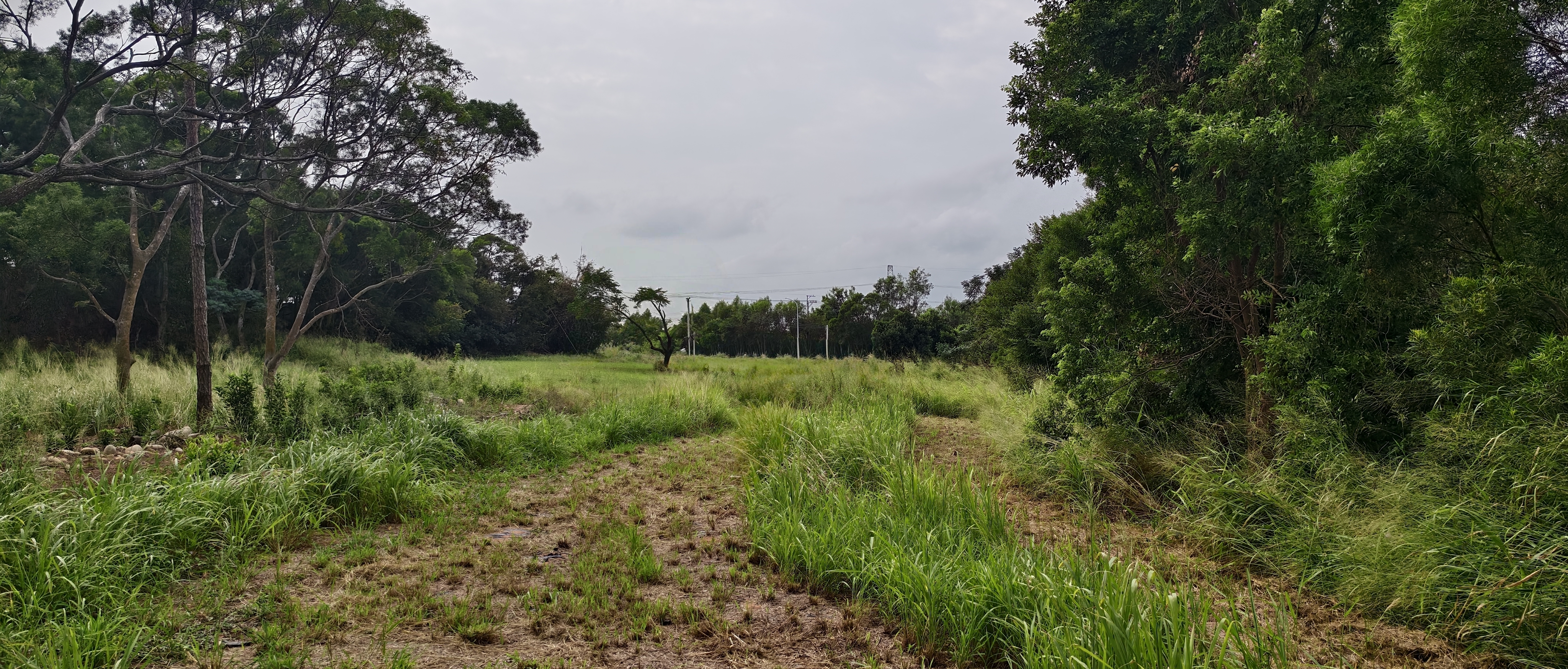 &hearts;️12米路農地 近沙鹿交流道